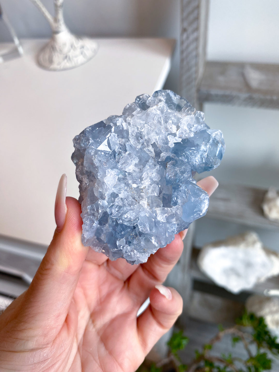 Gemmy Double-sided Celestite Cluster #6