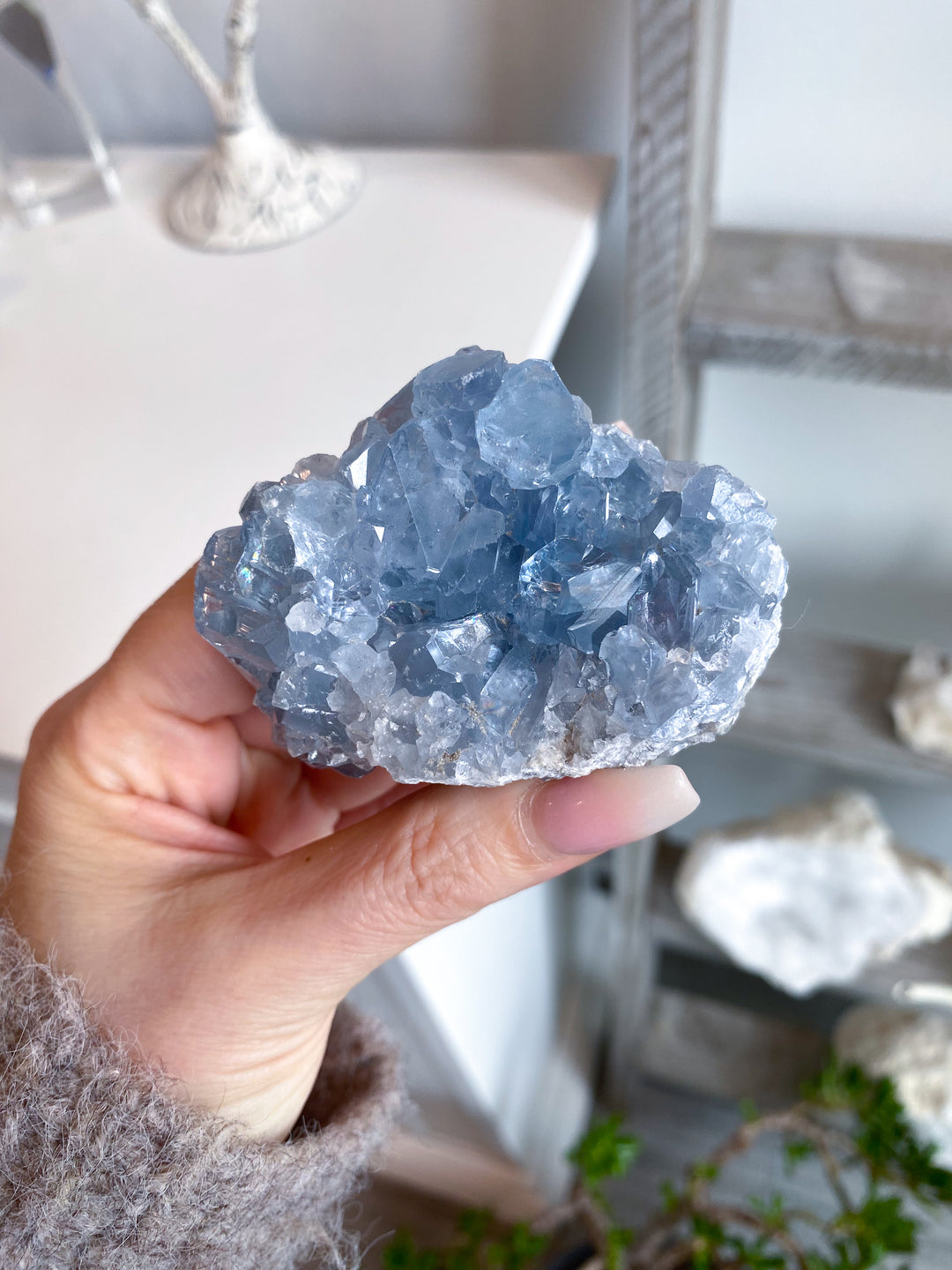 Gemmy Double-sided Celestite Cluster #6