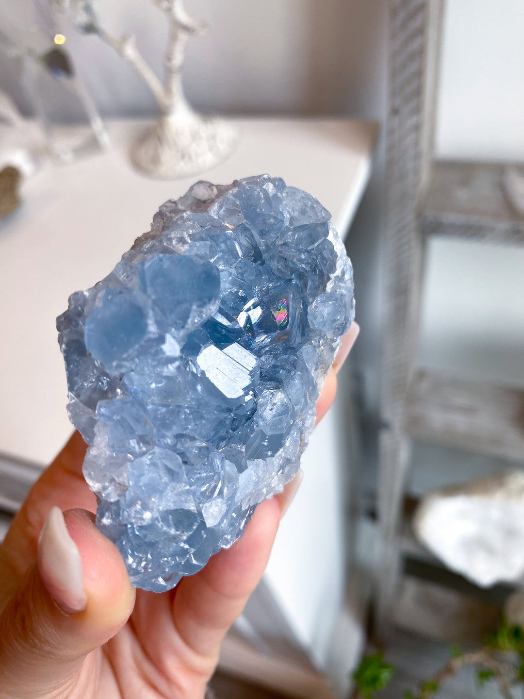 Gemmy Double-sided Celestite Cluster #6