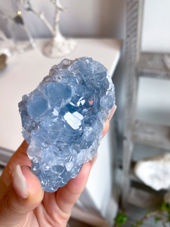 Gemmy Double-sided Celestite Cluster #6