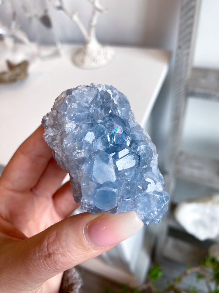 Gemmy Double-sided Celestite Cluster #6