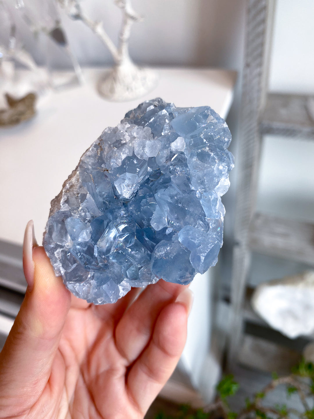Gemmy Double-sided Celestite Cluster #6
