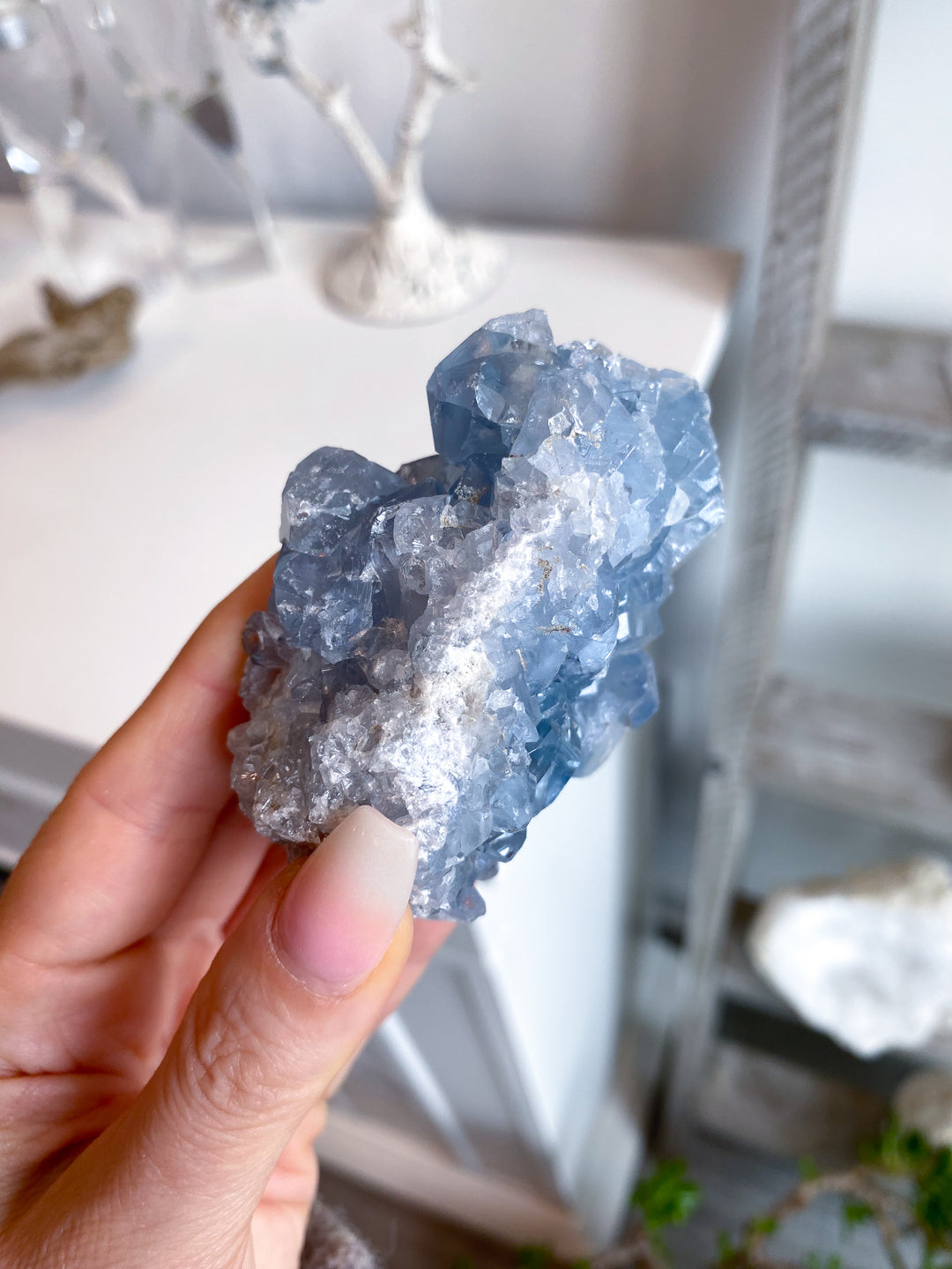 Gemmy Double-sided Celestite Cluster #6