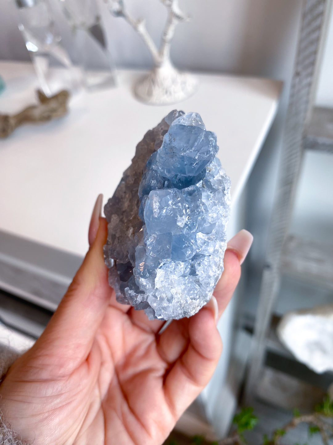 Gemmy Double-sided Celestite Cluster #6