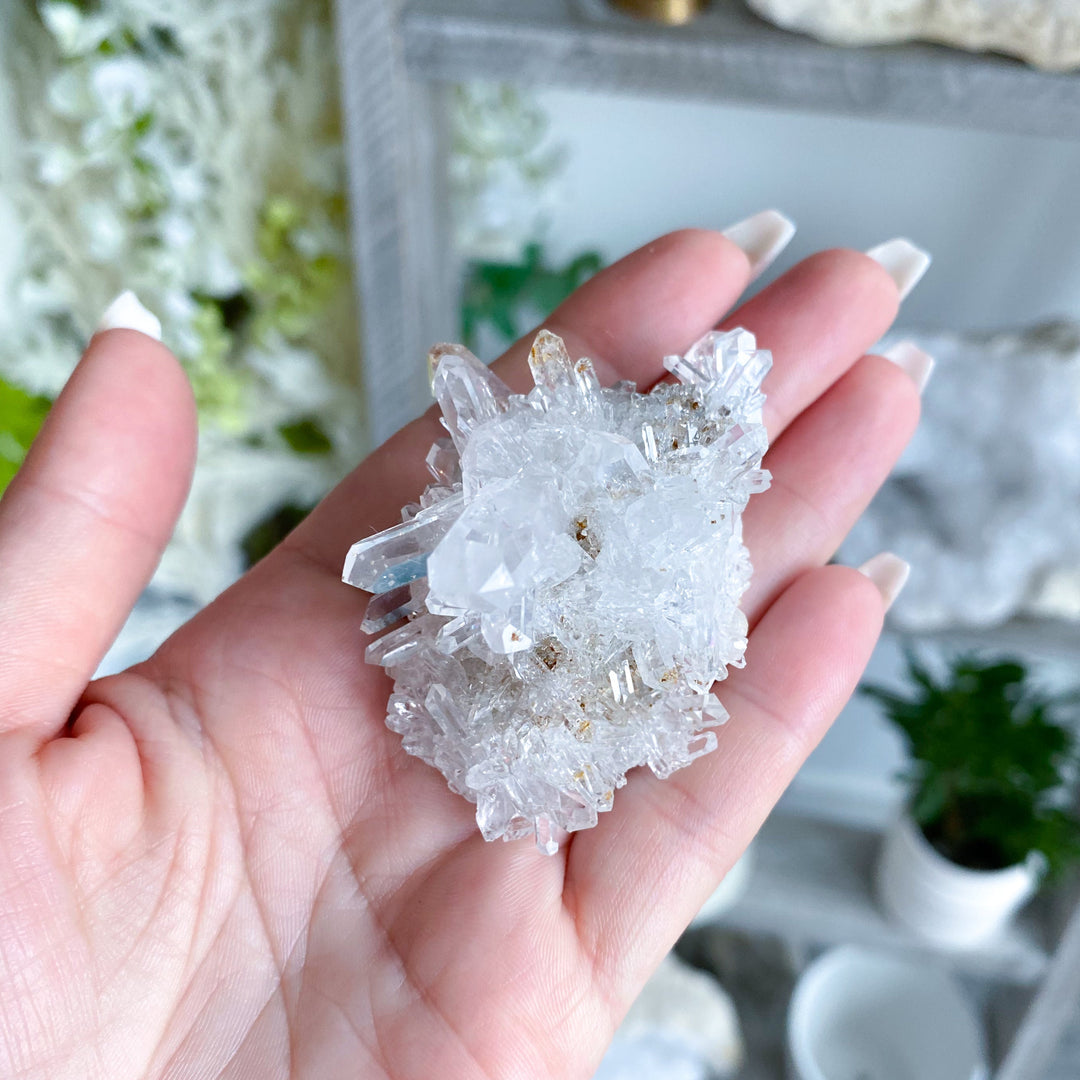 Clear Quartz Cluster #5