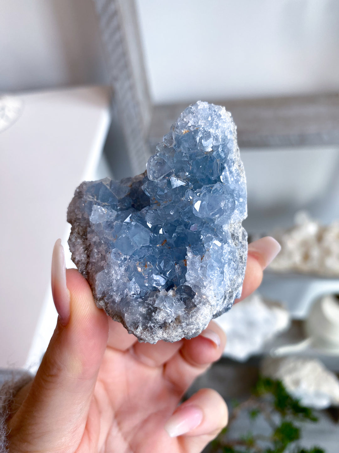 Small Celestite Cluster - #26
