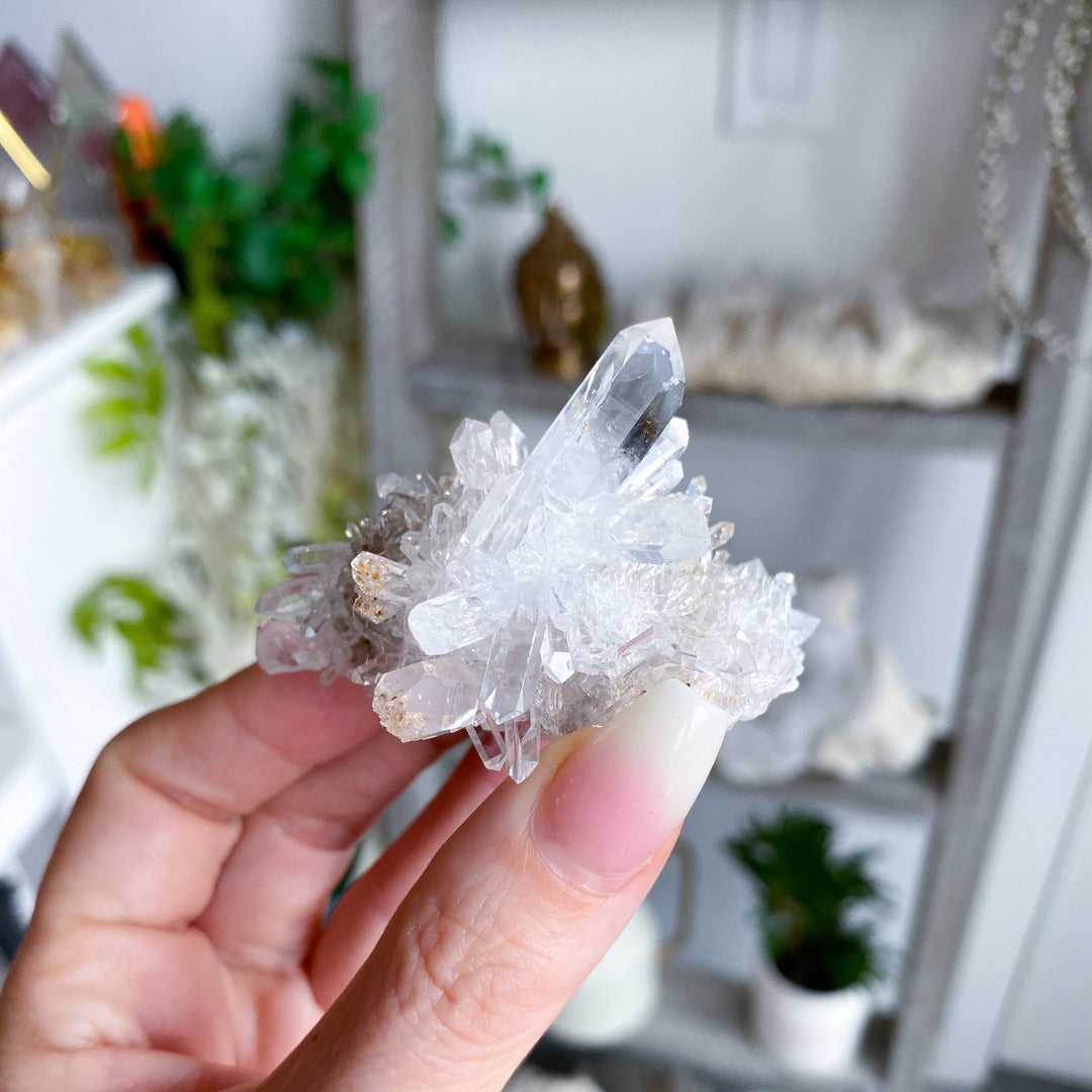 Clear Quartz Cluster #5