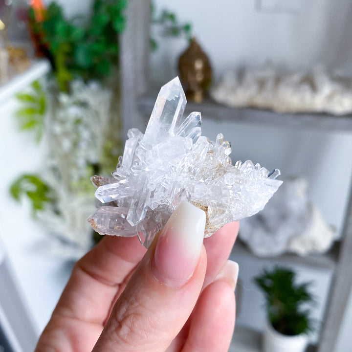 Clear Quartz Cluster #5