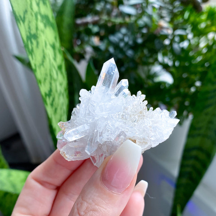 Clear Quartz Cluster #5