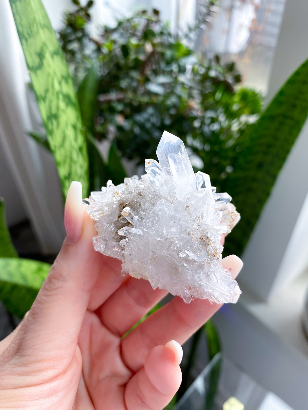 Clear Quartz Cluster #5