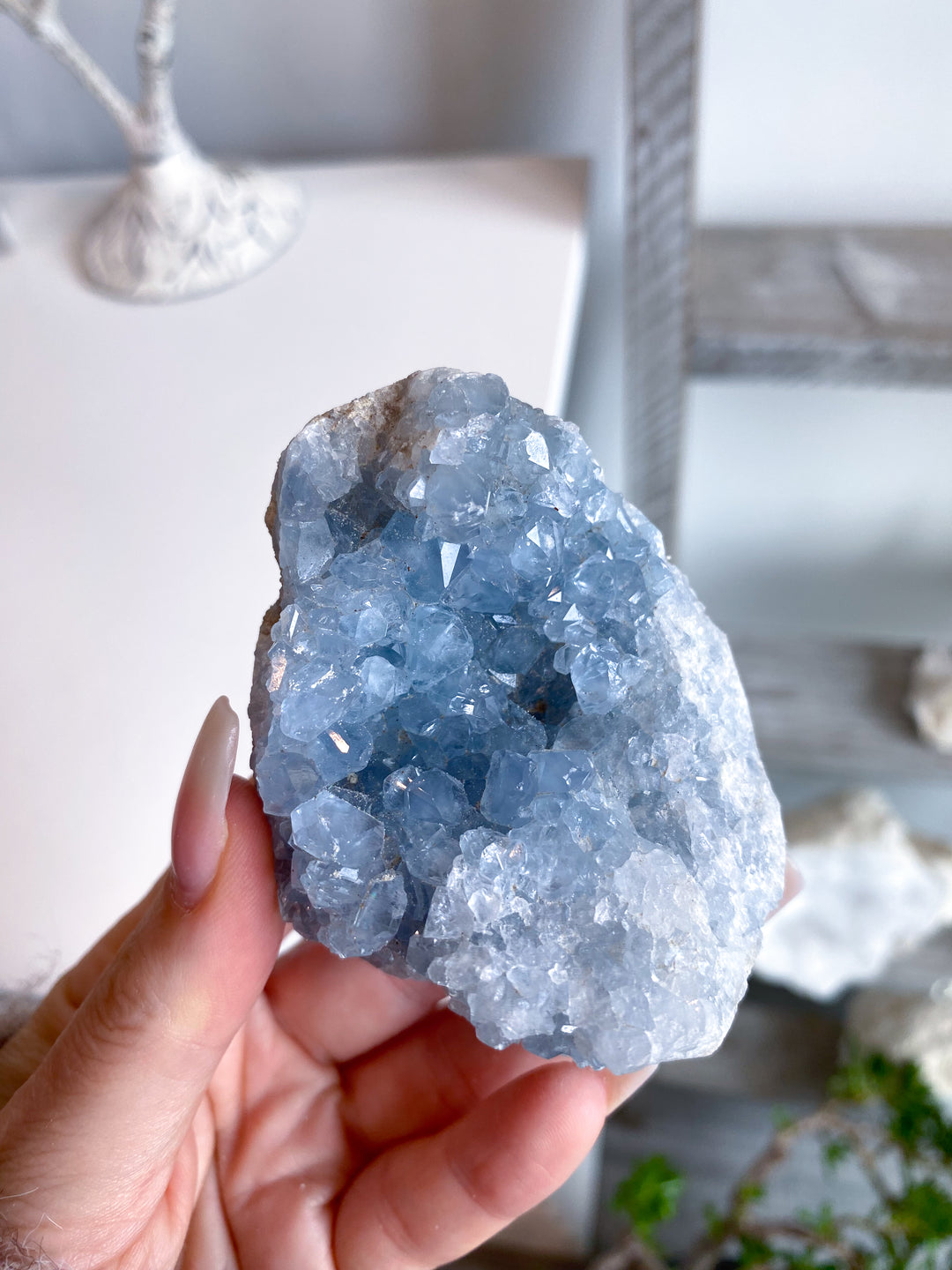 Standing Celestite Cluster #10