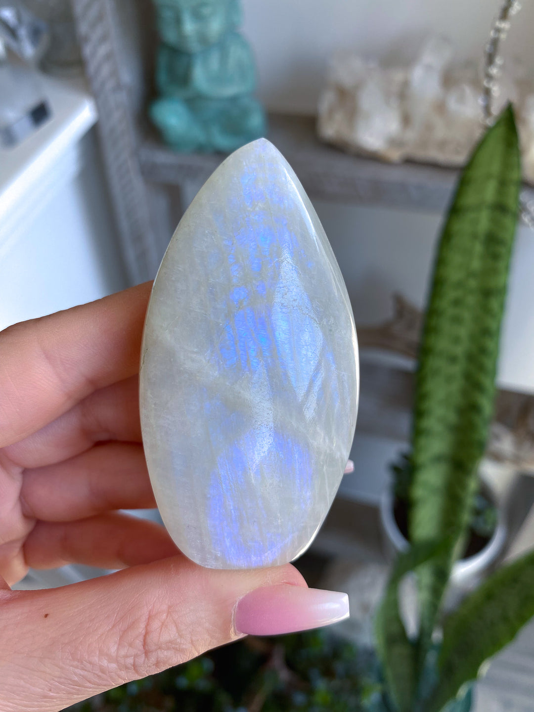 Narrow Blue Flash Moonstone Flame 