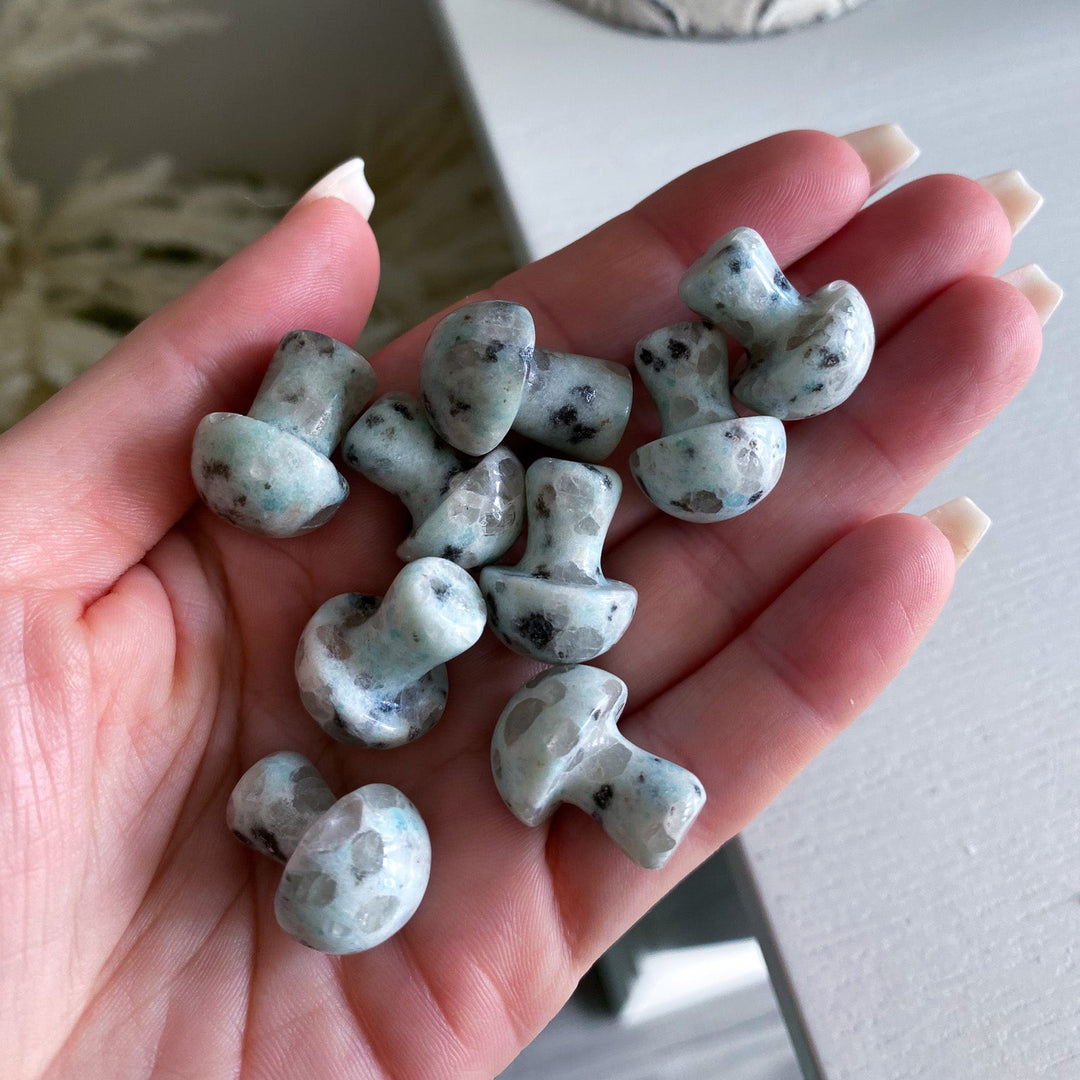 Kiwi Jasper Mini Mushroom