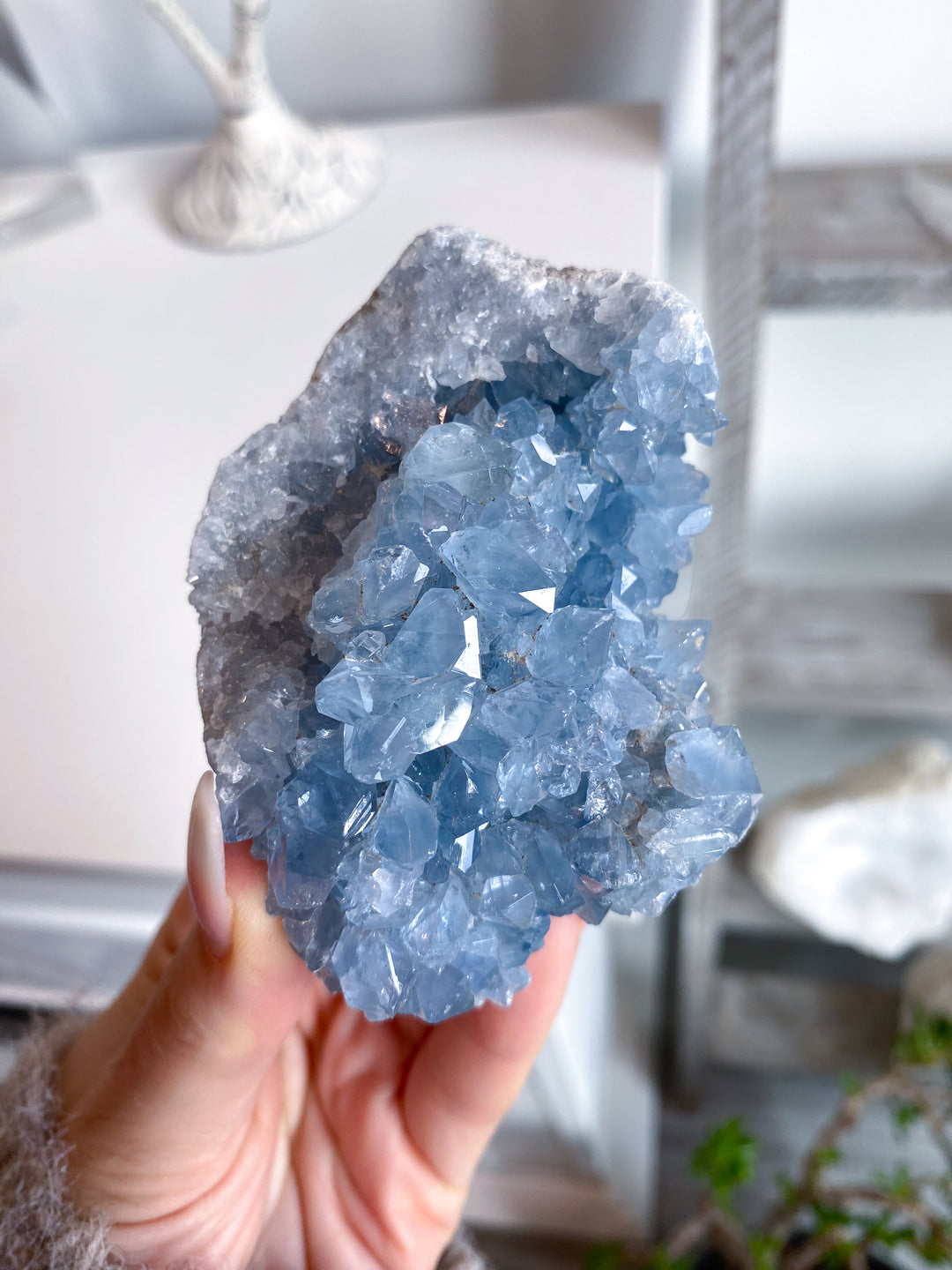 Majestic Celestite Cluster #11