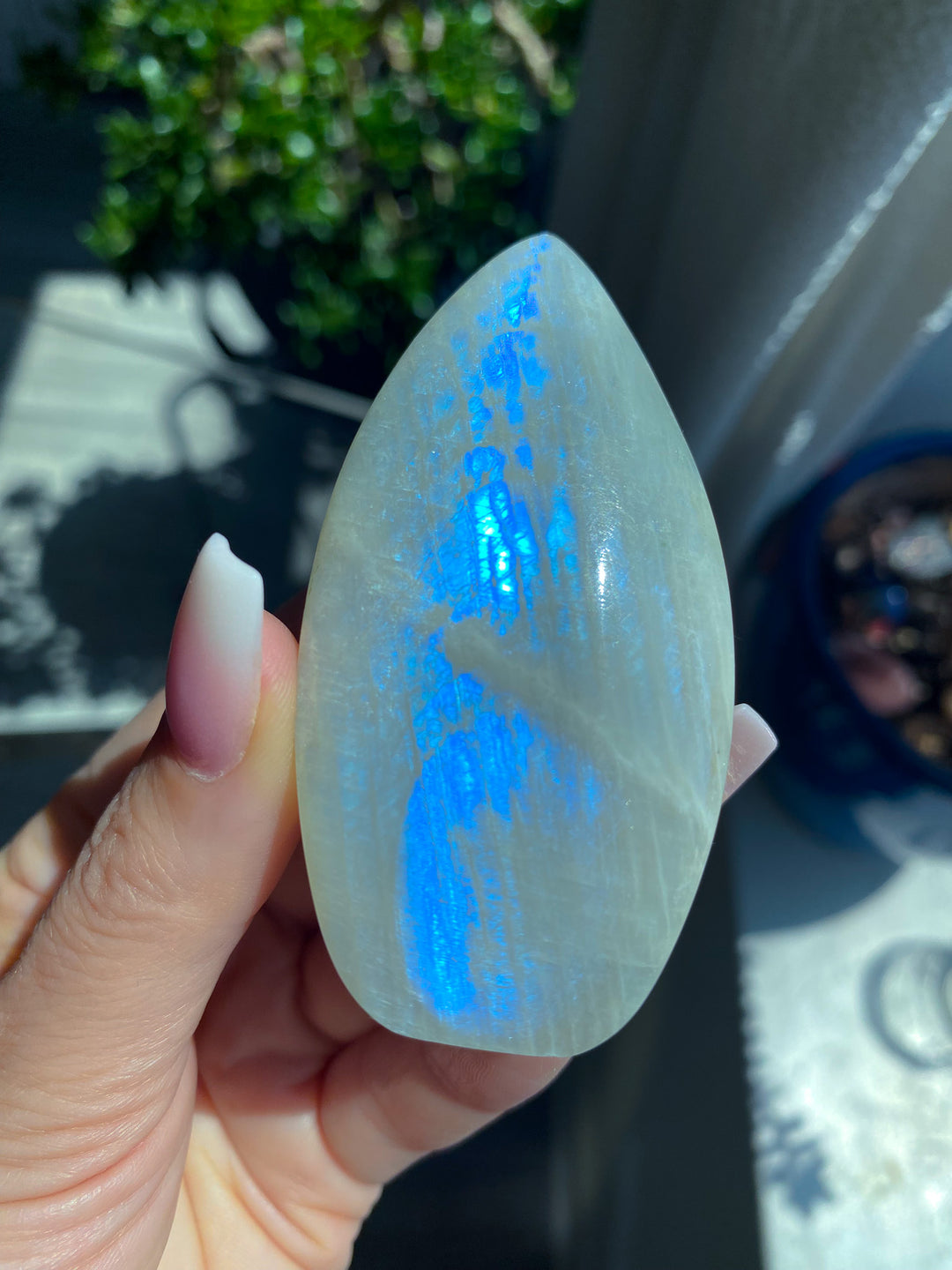 Narrow Blue Flash Moonstone Flame 