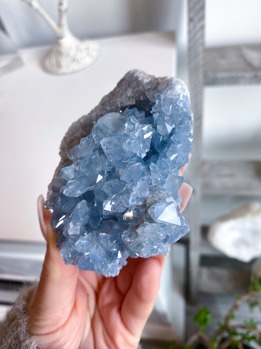 Majestic Celestite Cluster #11