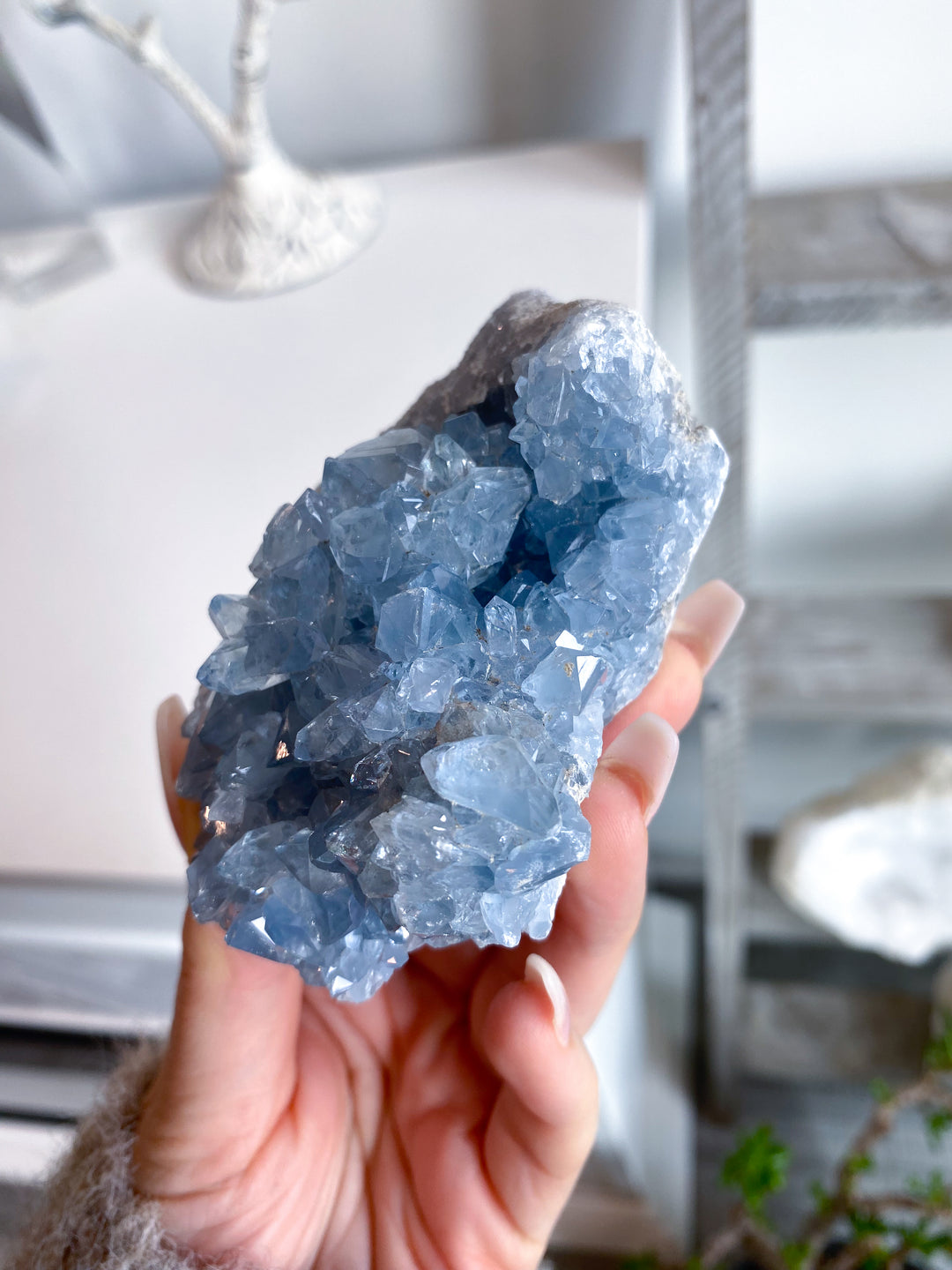 Majestic Celestite Cluster #11