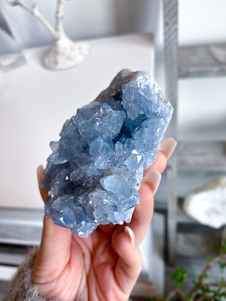 Majestic Celestite Cluster #11