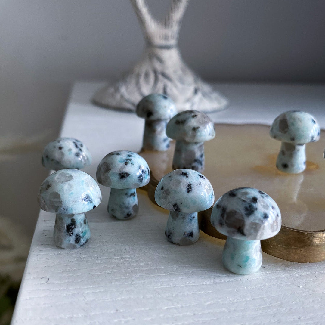 Kiwi Jasper Mini Mushroom