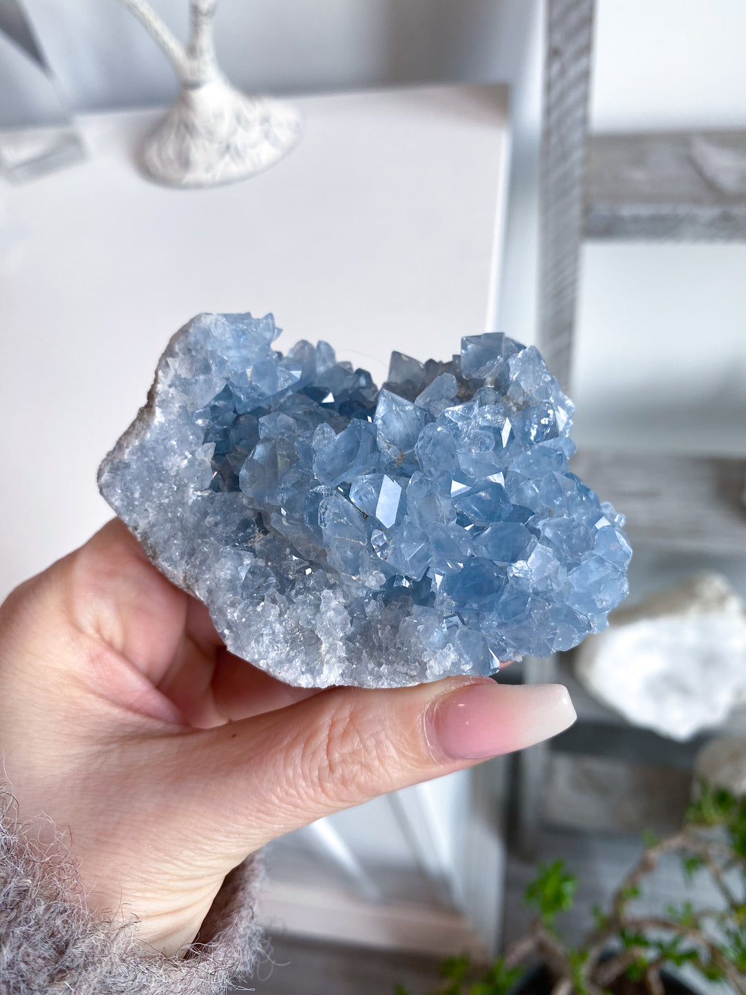 Majestic Celestite Cluster #11