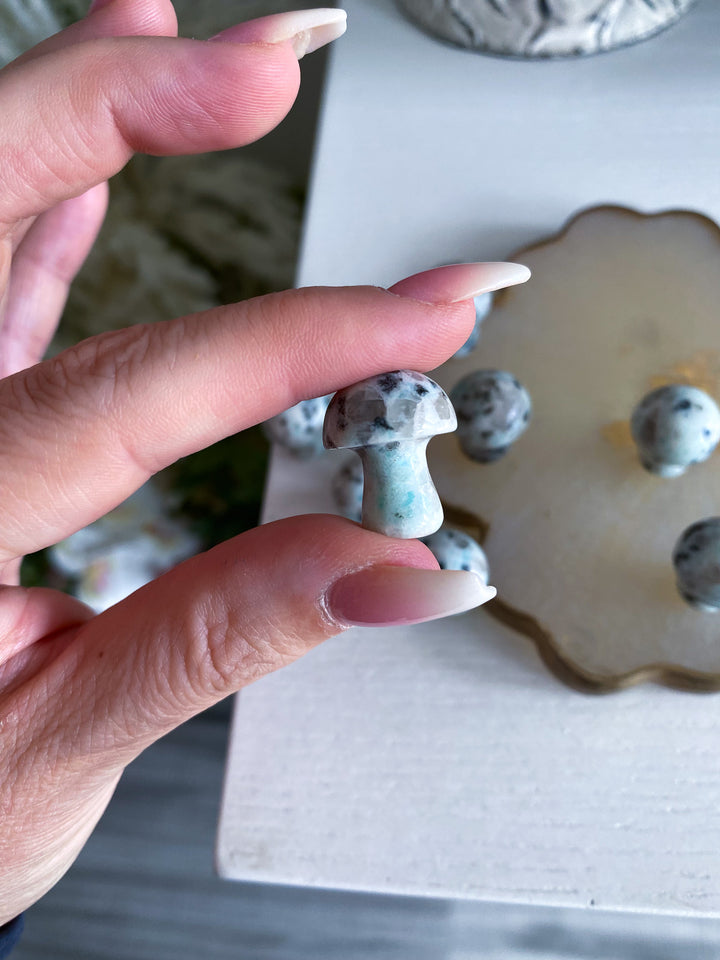 Kiwi Jasper Mini Mushroom
