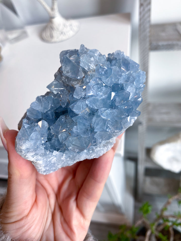 Majestic Celestite Cluster #11