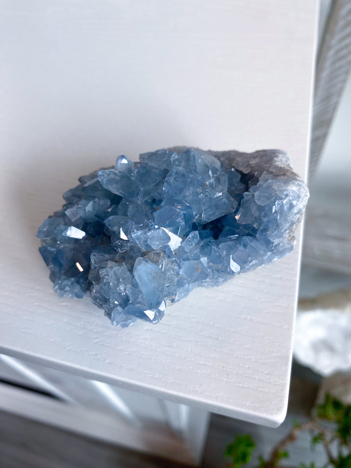 Majestic Celestite Cluster #11