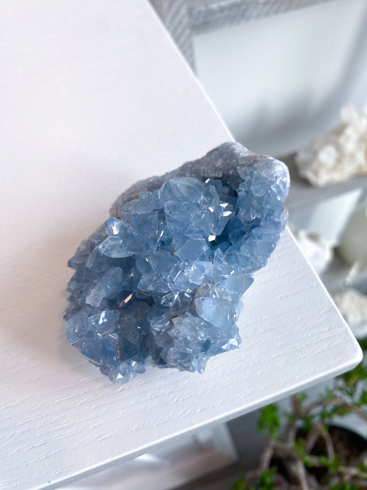 Majestic Celestite Cluster #11