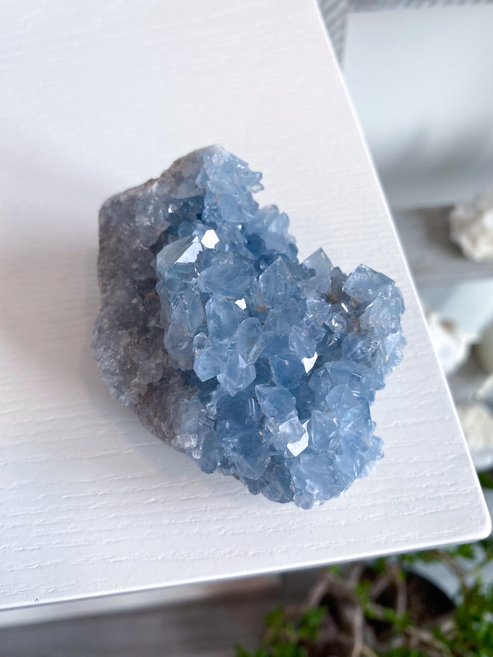 Majestic Celestite Cluster #11