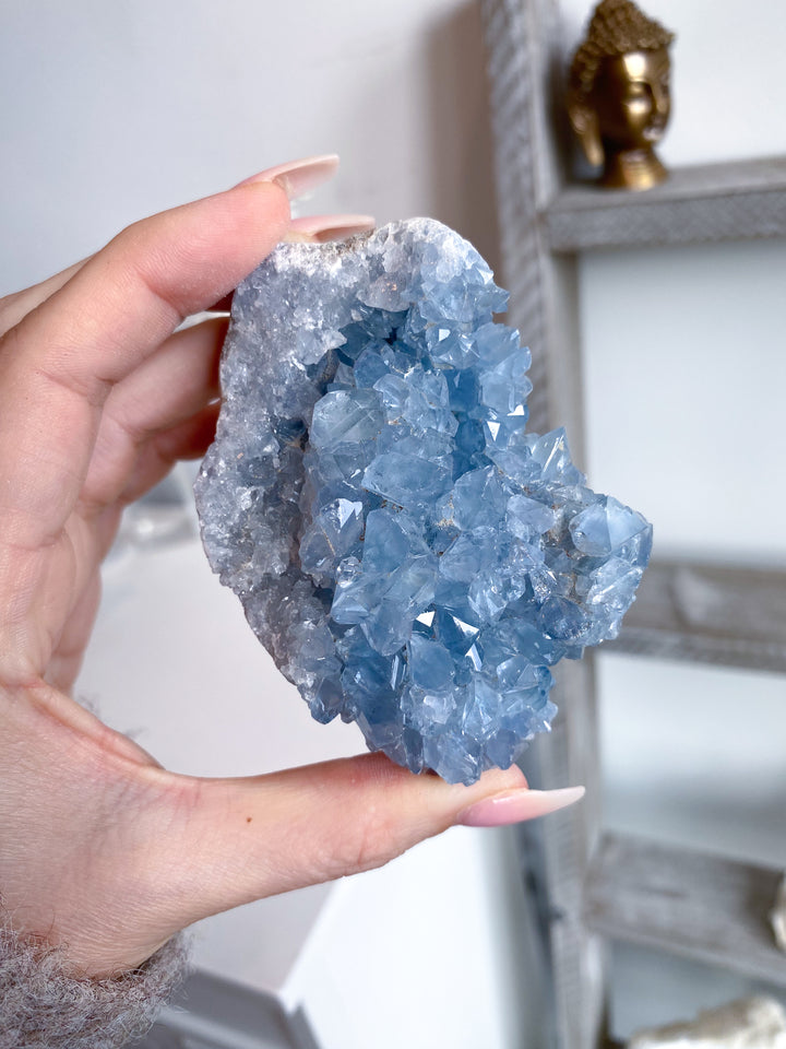 Majestic Celestite Cluster #11
