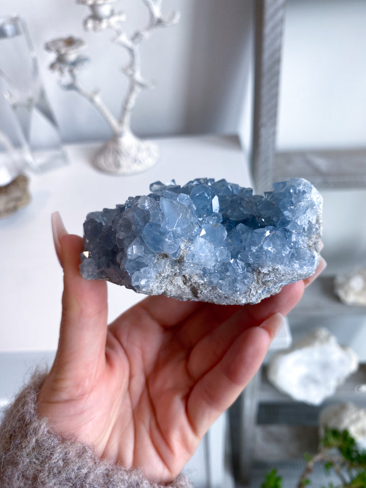 Majestic Celestite Cluster #11