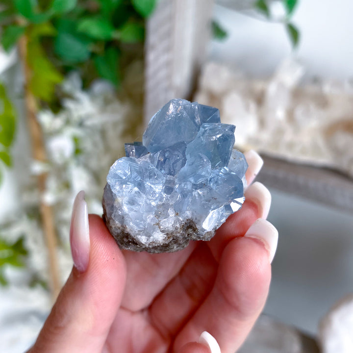 Small Celestite Cluster Chunk Geode #2