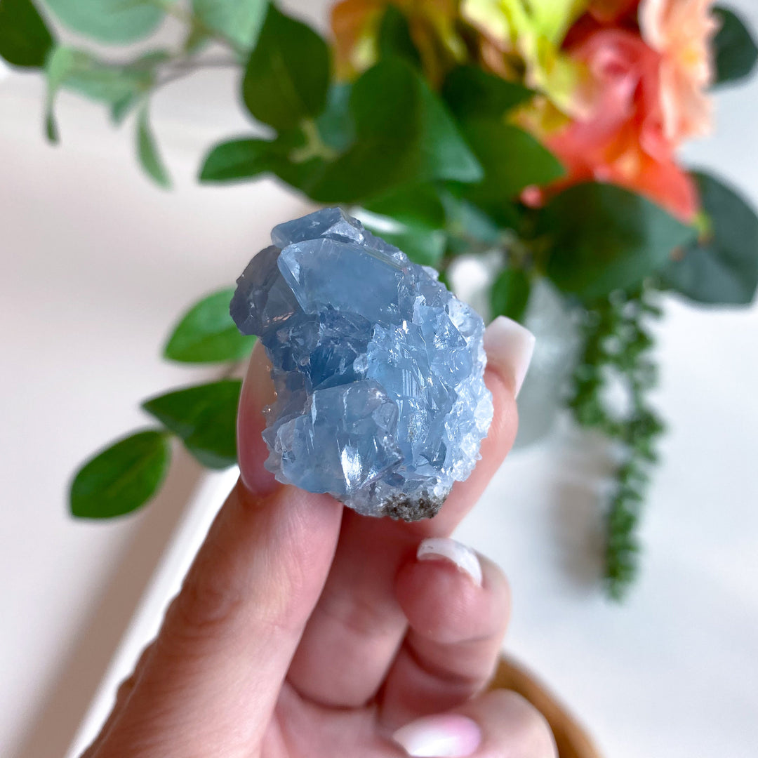 XS Unique Celestite Cluster Chunk Geode #3