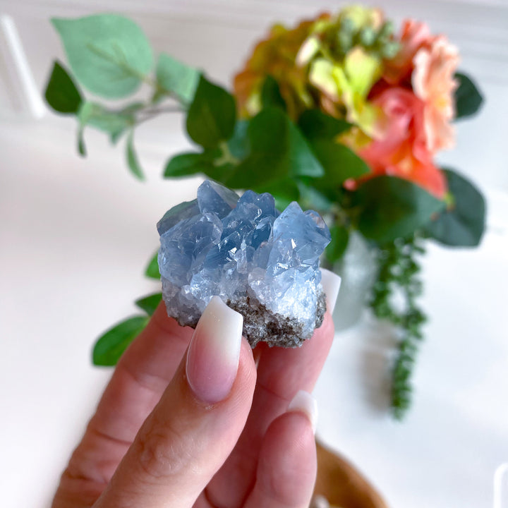 XS Unique Celestite Cluster Chunk Geode #3
