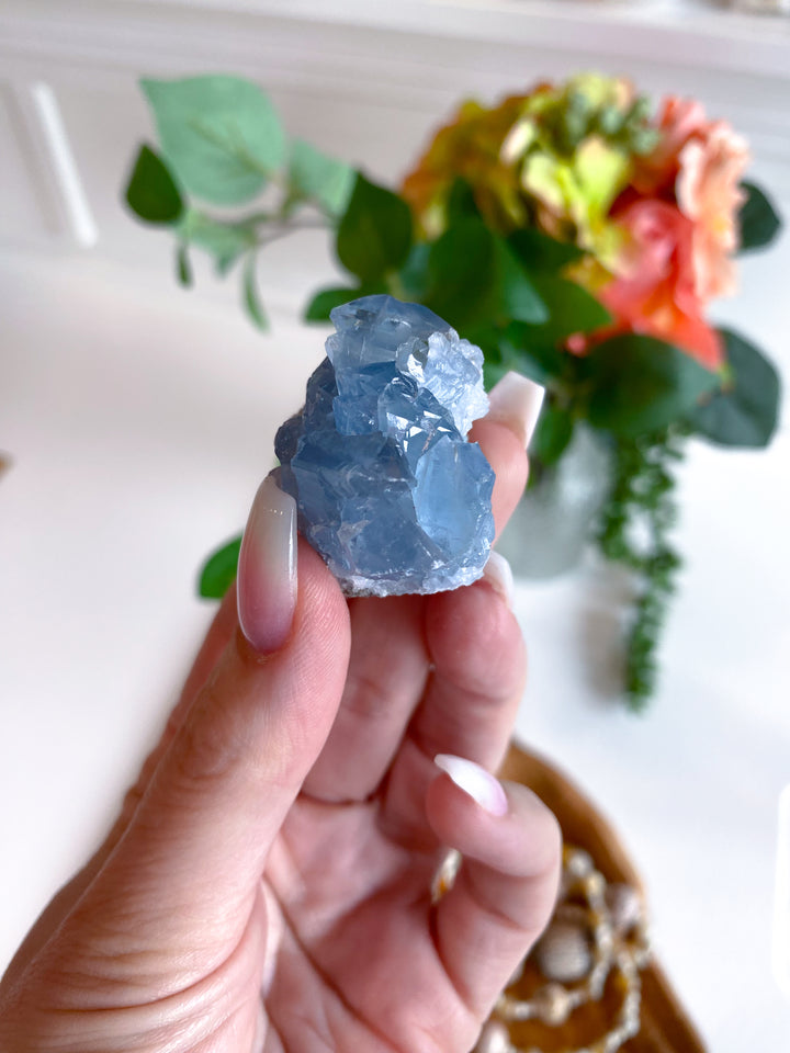 XS Unique Celestite Cluster Chunk Geode #3
