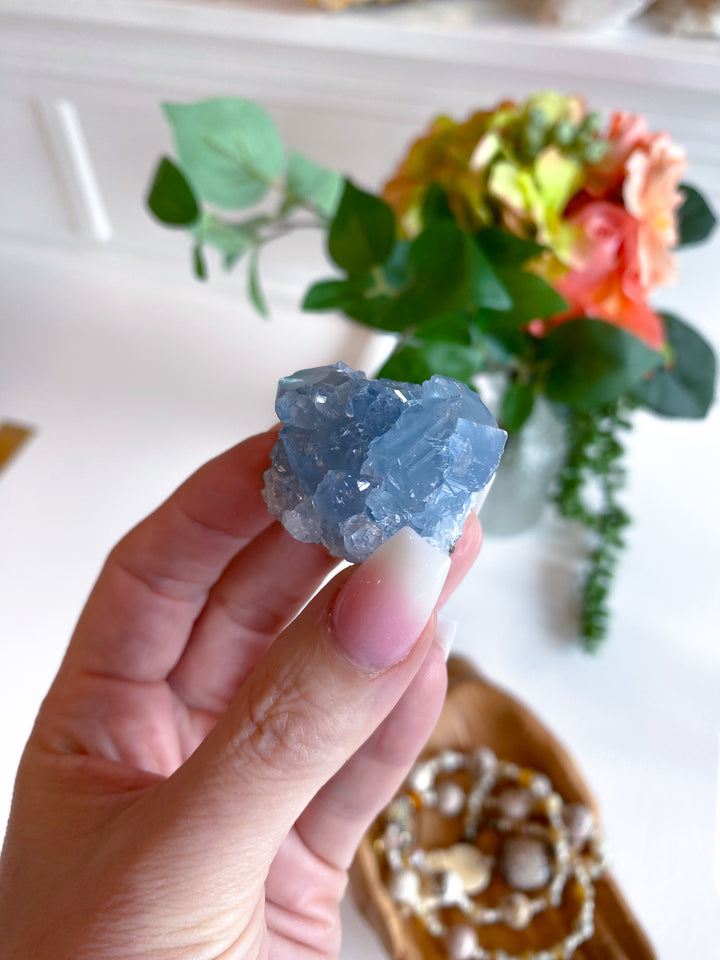 XS Unique Celestite Cluster Chunk Geode #3