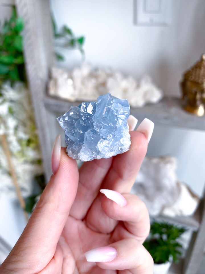 XS Unique Celestite Cluster Chunk Geode #3