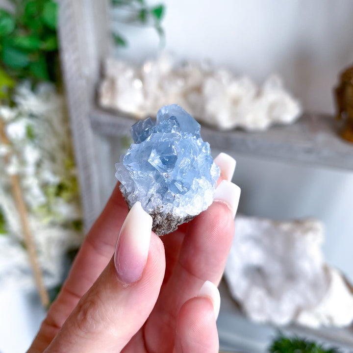 XS Unique Celestite Cluster Chunk Geode #3