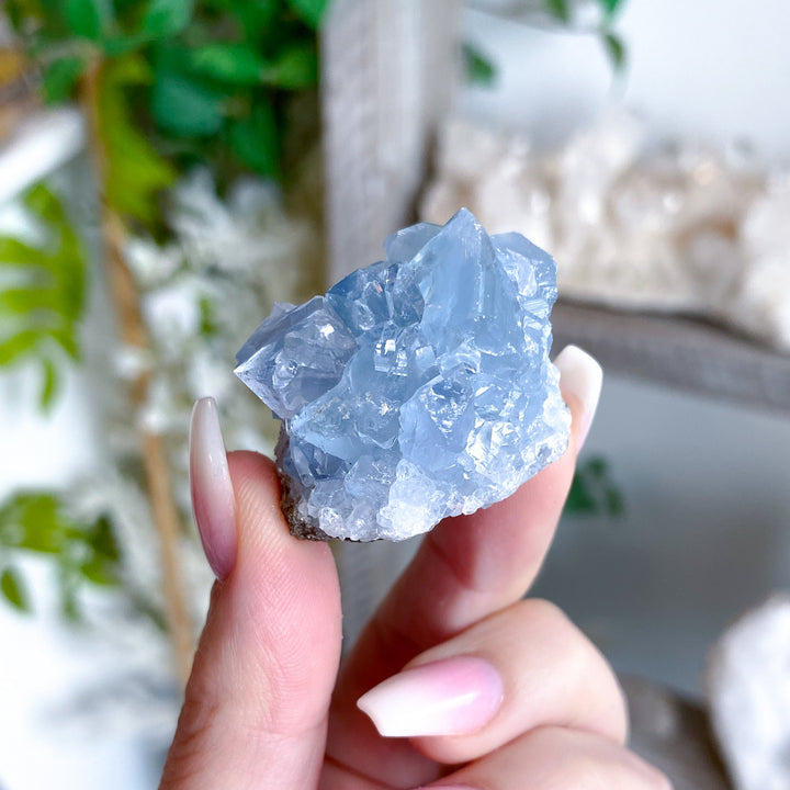XS Unique Celestite Cluster Chunk Geode #3