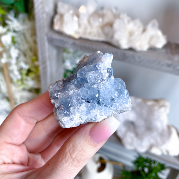 Peaceful Celestite Cluster #7