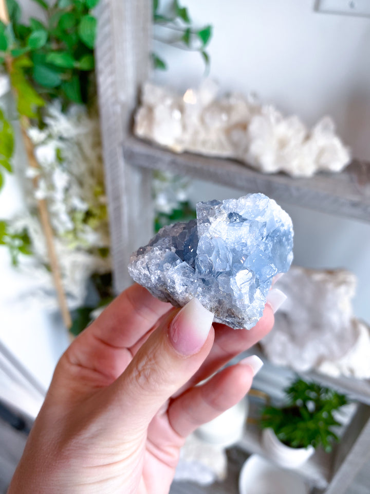 Peaceful Celestite Cluster #7