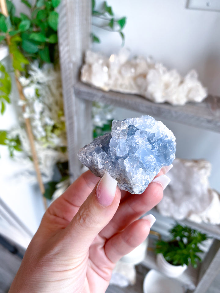 Peaceful Celestite Cluster #7