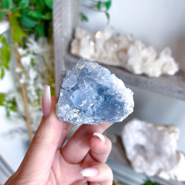 Peaceful Celestite Cluster #7
