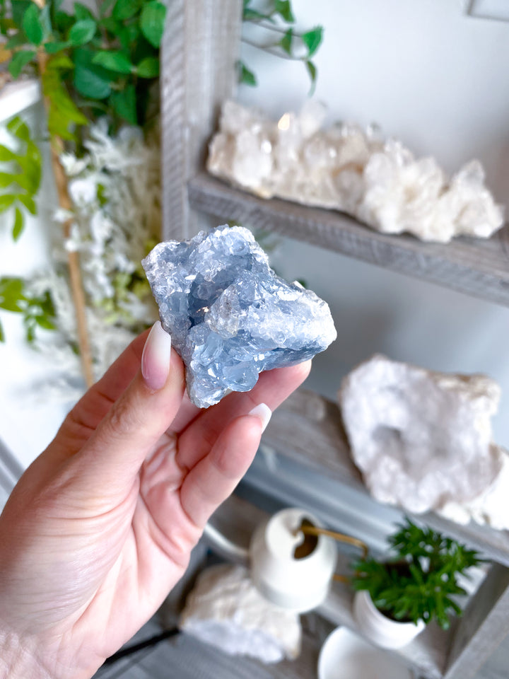 Peaceful Celestite Cluster #7