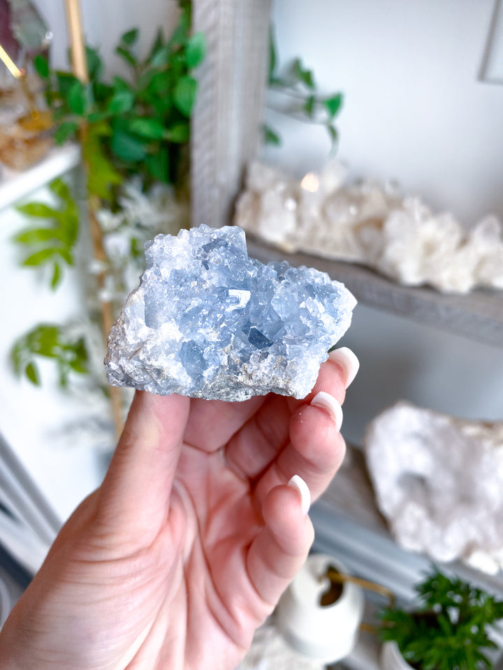 Peaceful Celestite Cluster #7