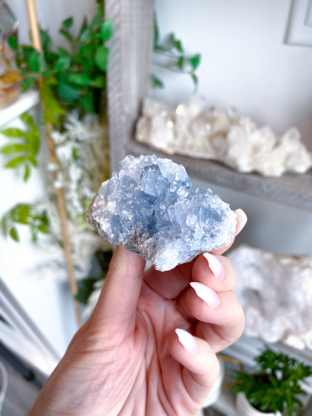 Peaceful Celestite Cluster #7