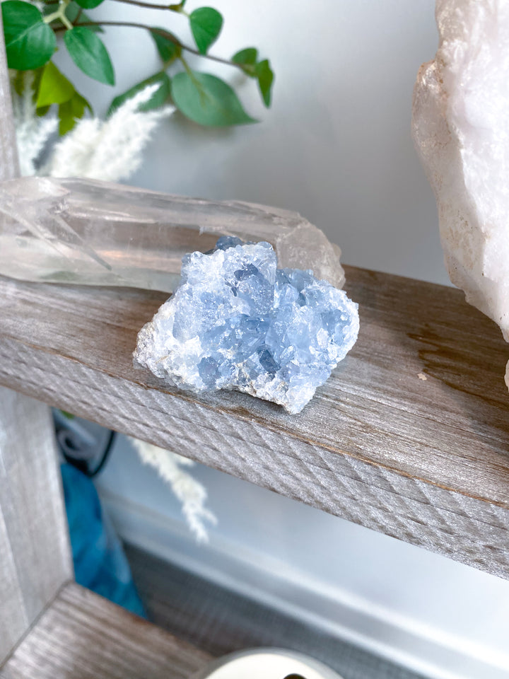 Peaceful Celestite Cluster #7