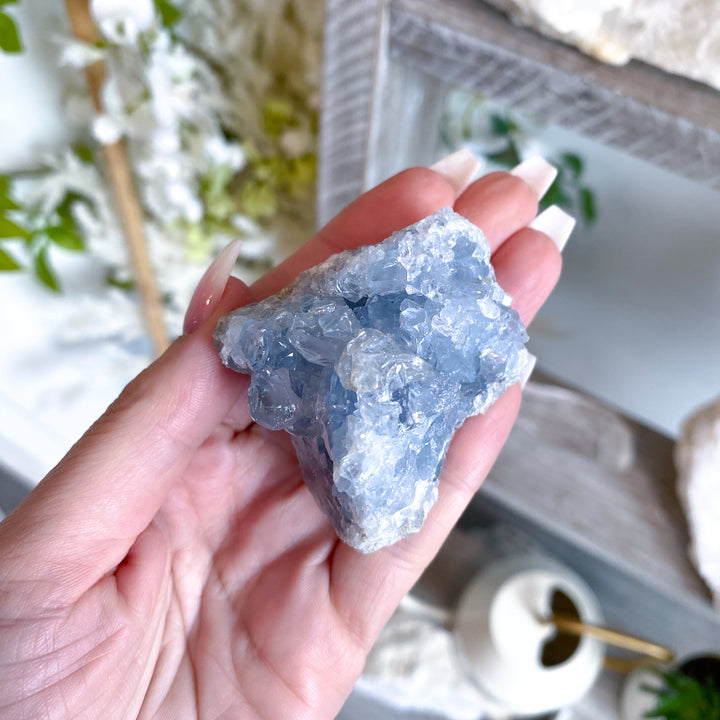Peaceful Celestite Cluster #7