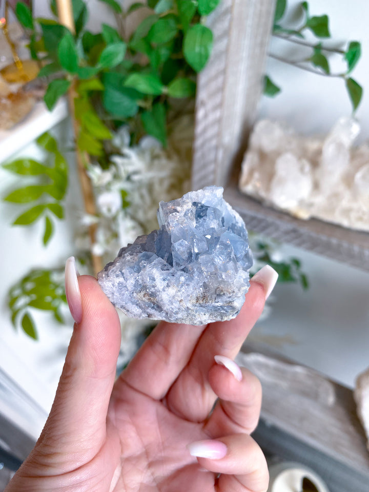 Peaceful Celestite Cluster #7
