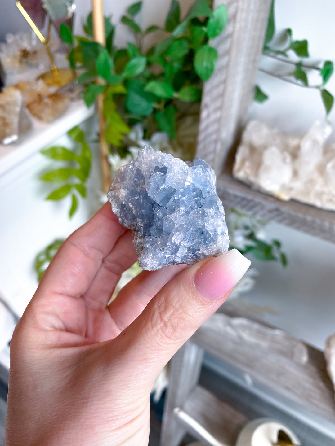 Peaceful Celestite Cluster #7